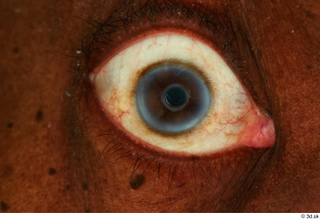 HD Eyes Vicente Pareja eye eyebrow eyelash iris pupil skin…